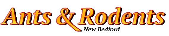 New Bedford Ant Exterminator & Rodent Control Company Logo